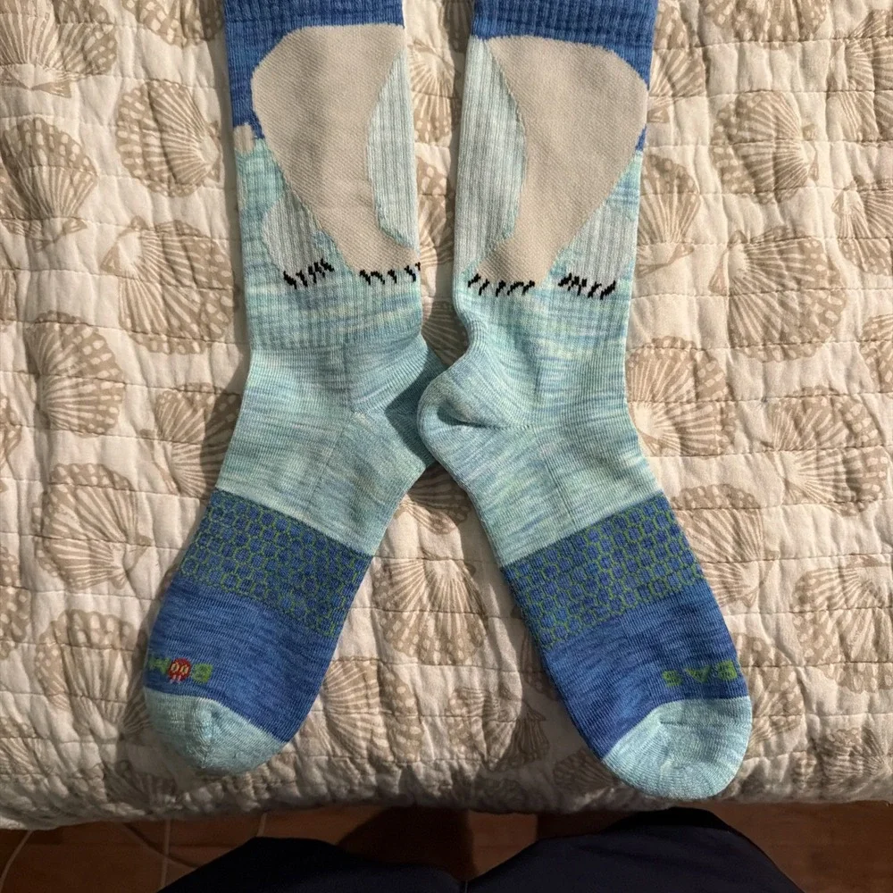 Bombas Eric Carle Polar Bear, Polar Bear, What Do You Hear? Socks Size Youth